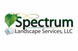 Spectrum Spectrum