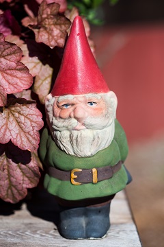Better Gnomes + Homes Better Gnomes + Homes