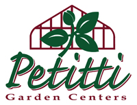 Petitti-200 Petitti Logo