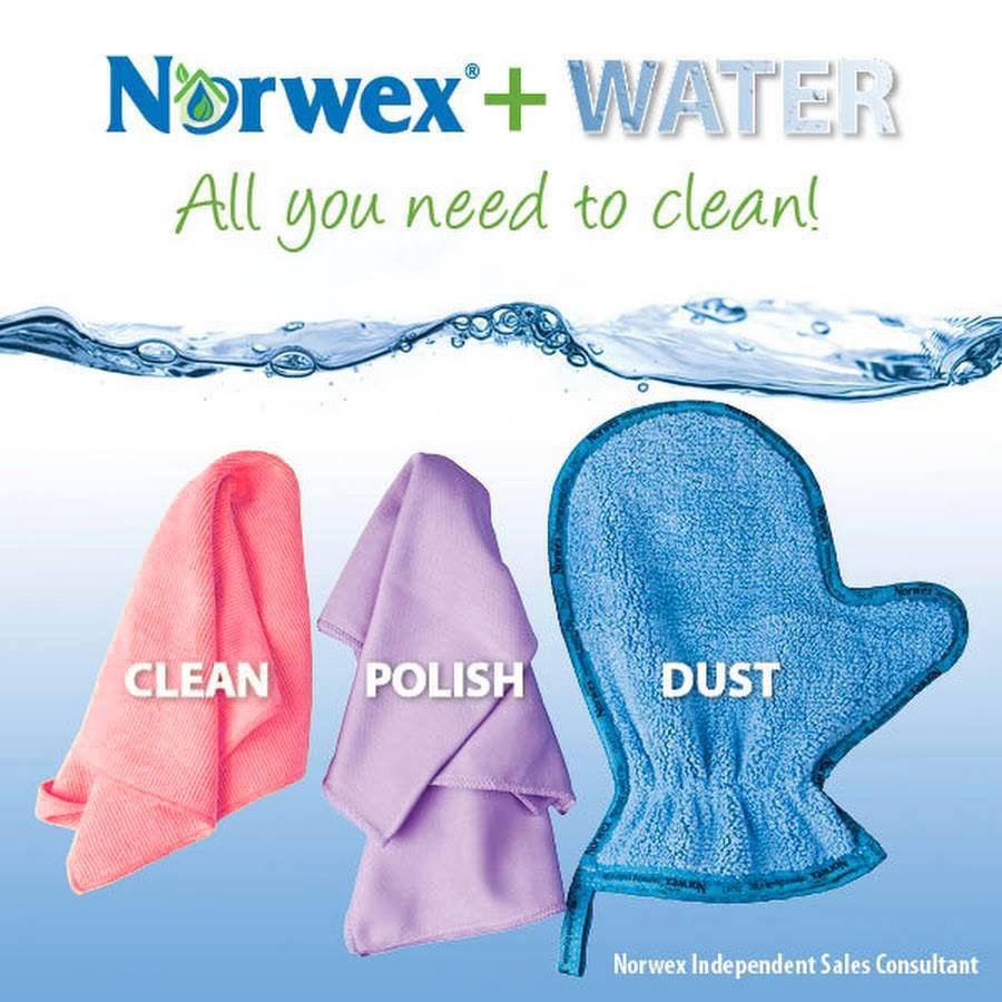 norwex99 norwex99