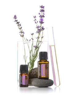 Lavender.png