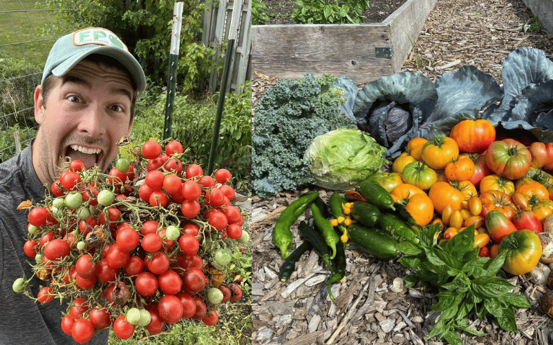 Luke Marion making happy yelling face while holding freshly picked tomatoes selfie