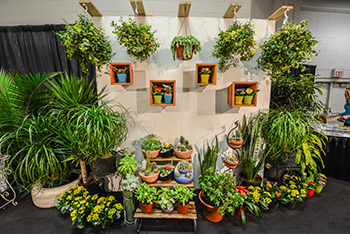 CHGS17-7367_SM Hanging Plants