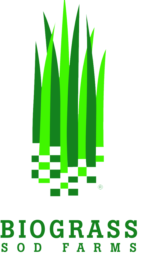 dfb75d0c-a9a0-6e0a-be1e-ff0000415d3a