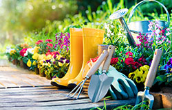 gardening tools