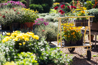 Landscaped-Gardens-200 Garden Cart