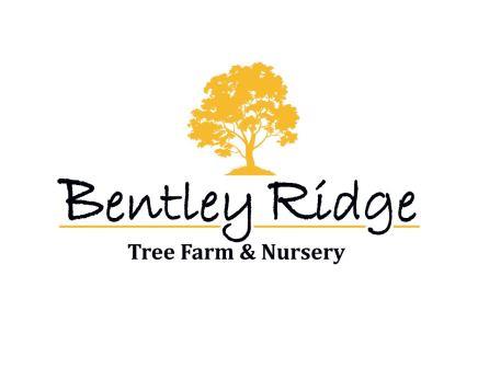 bentelyridge