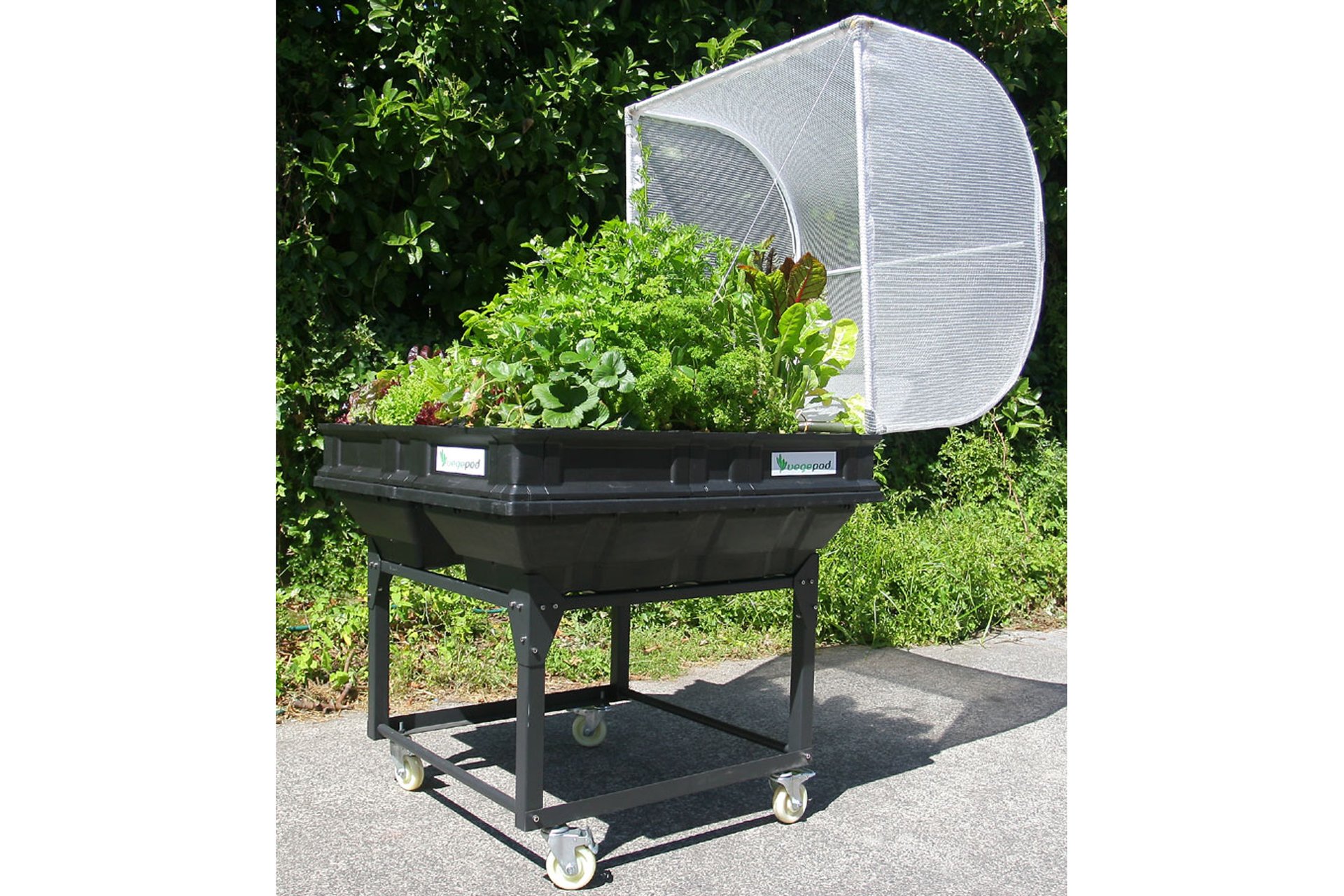 med-trolley-planted-1920x1280.jpg