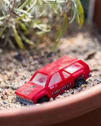 Hero-Day-200 Toy Firetruck on a plant
