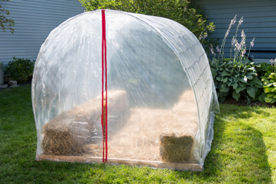 Six-Week Greenhouse