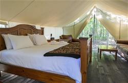 Glamping-2 Glamping-2