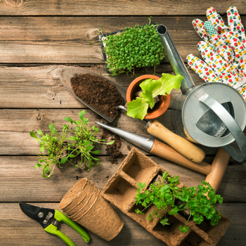 Garden Supplies Garden Supplies