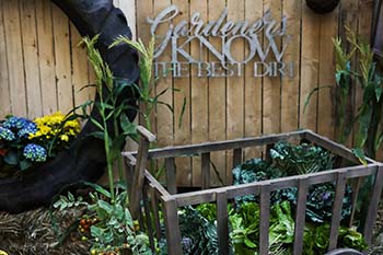Garden Garden