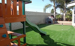 turf resized turf resized