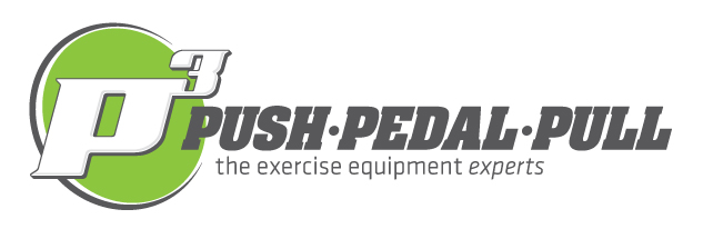 P3 Horz Logo.jpg