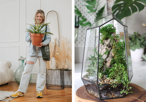 split screen of Emma Terrill wearing jean jacket holding snake plant wearing ripped jeans and on right DIY terrarium