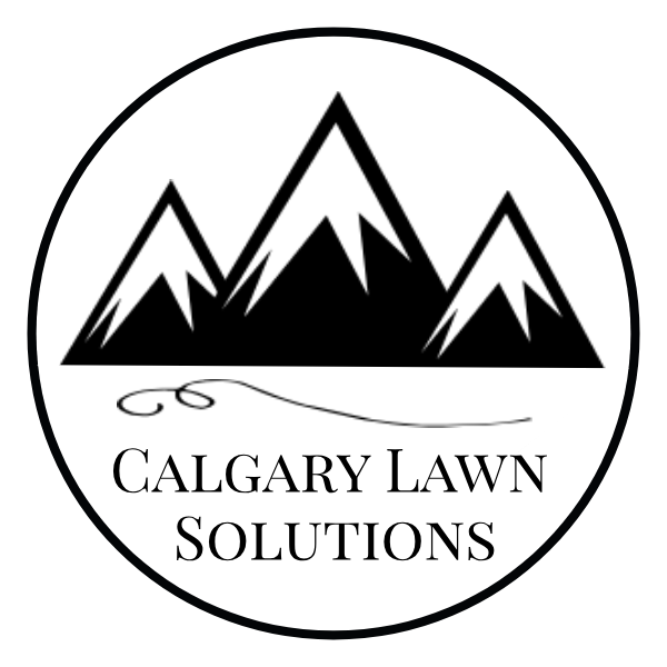 Black and white logo.png