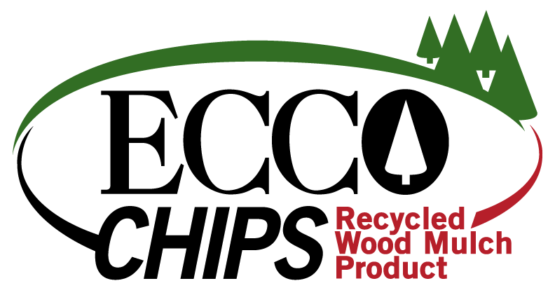 eccochips