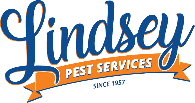 New Logo.png