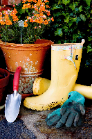Garden - buff Garden - buff