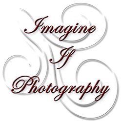 Imagine If Photography logo