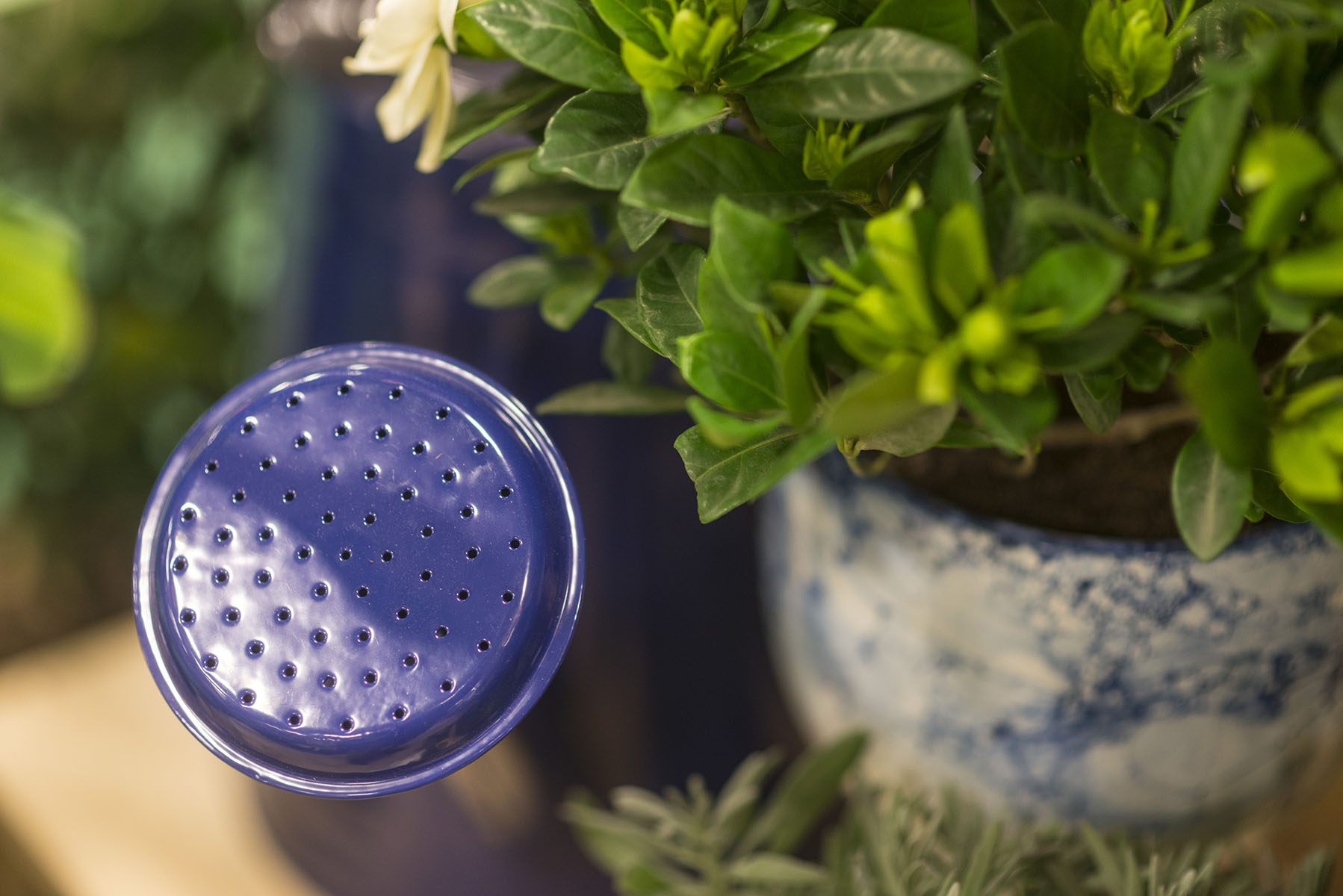 Gardening Tools