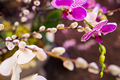 Sogetsu-sm Sogetsu floral arrangement
