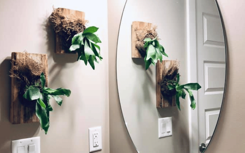 bathroom with mounted plants for fresh air