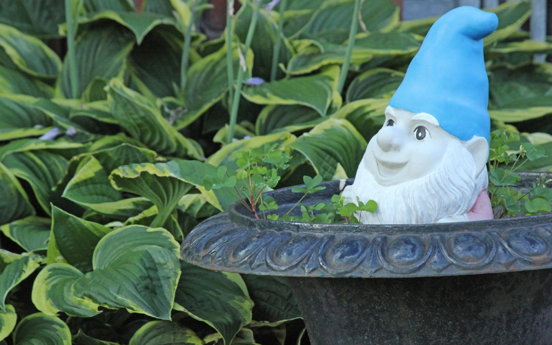 Lawn gnome wearing blue hat inside black terracotta pot in front of shrubs