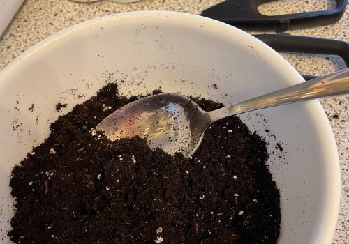 White bowl full of black fresh soil and silver teaspoon