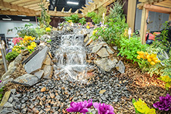 Backyard-Wars Landscaped backyard