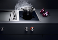 Vario-Gaggenau-Onions-Beauty-Shot_250 Vario-Gaggenau-Onions-Beauty-Shot_250