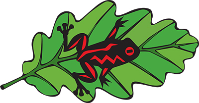 Tree Frog Tree Care logo Tree Frog Tree Care logo