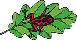 Tree Frog Tree Care Tree Frog Tree Care