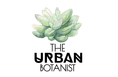 Urban Botanist white Urban Botanist white