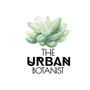 The Urban Botanist The Urban Botanist