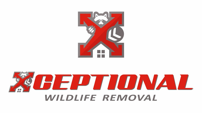 xceptional1.jpg