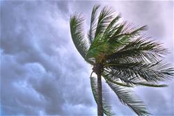 Hurricane Resource Center Hurricane Resource Center