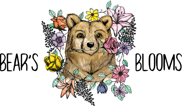 logo.png