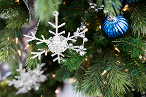 Christmas Tree Ornaments Christmas Tree Ornaments