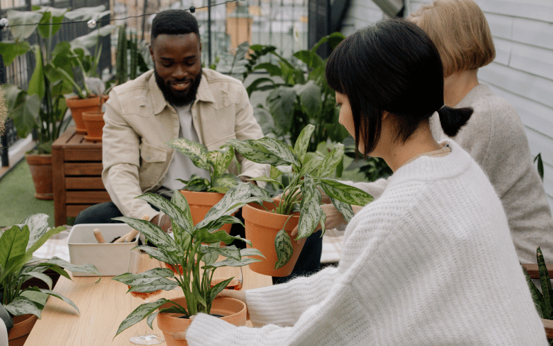 Group of three people, a Black Man and two Caucasian Women all wearing white or beige clothing gathered around a cable potting houseplants together inside plant store with smiling faces