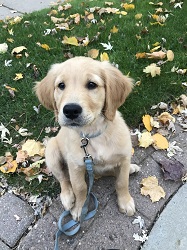 resized 2018 WINNER_Porter - lab girl - Copy resized 2018 WINNER_Porter - lab girl - Copy