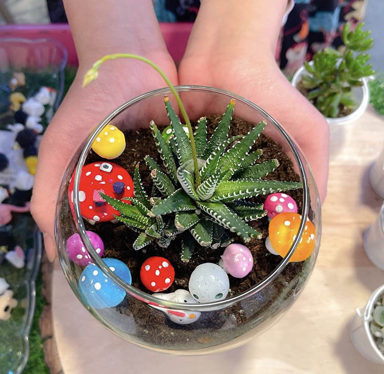 DIY Terrarium