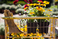 Better-Gnomes-Gardens-200 Garden Cart