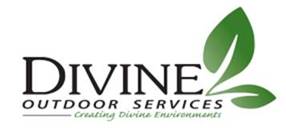 Divine logo Divine logo