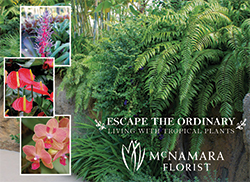McNamara-Florist-250 McNamara-Florist-250