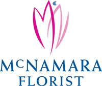 McNamara-New-logo-200 McNamara-New-logo-200