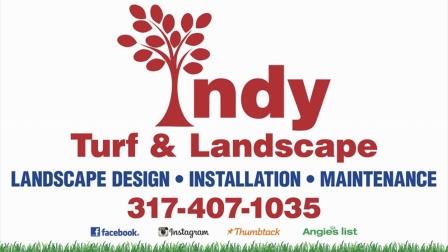 indyturf