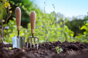 Gardening tools stuck in the soil