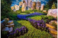 Show Attractions At The Northwest Flower Garden Festival